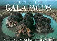 De Roy: Galapagos: Islands Born of Fire