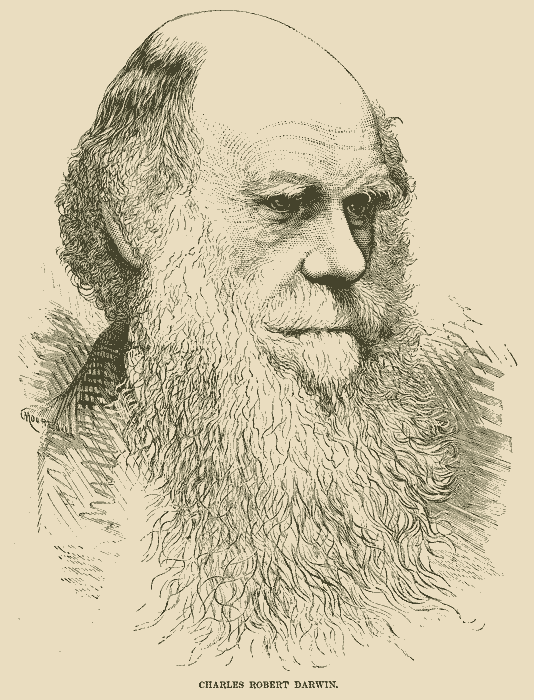 Darwin